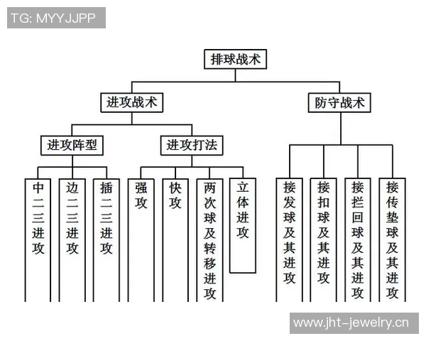深圳排球队快攻战术深度解析与实战应用探讨